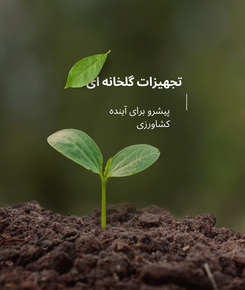 چگونه در ازمون ایلتس تمرکز خود را کنترل کنیم